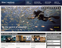 Tablet Screenshot of blueventure.net
